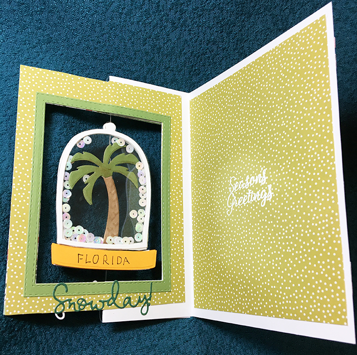 Florida Snow Day-inside-2