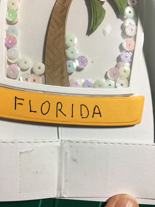 Florida Snow Day-shaker detail 2